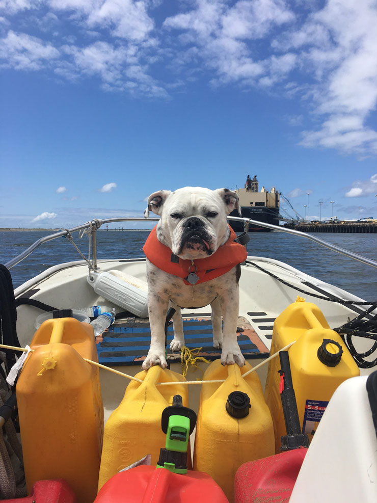 Boat Life 23