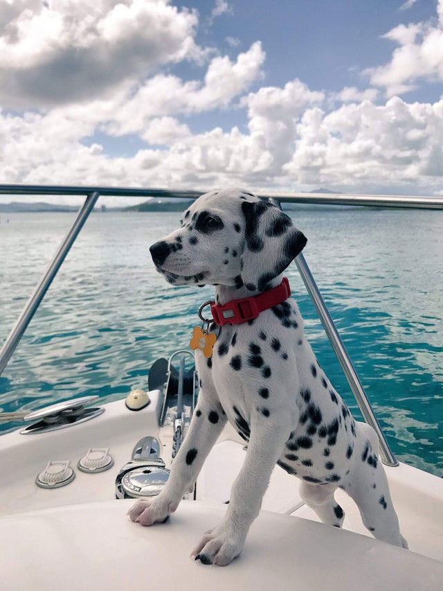 Boat Life 35