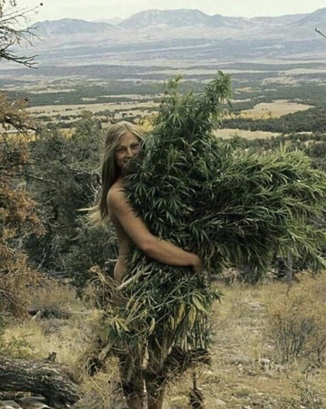 https://historydaily.org/content/61930/0814dd7add5bd6f237cbe603ee2ac611.jpg